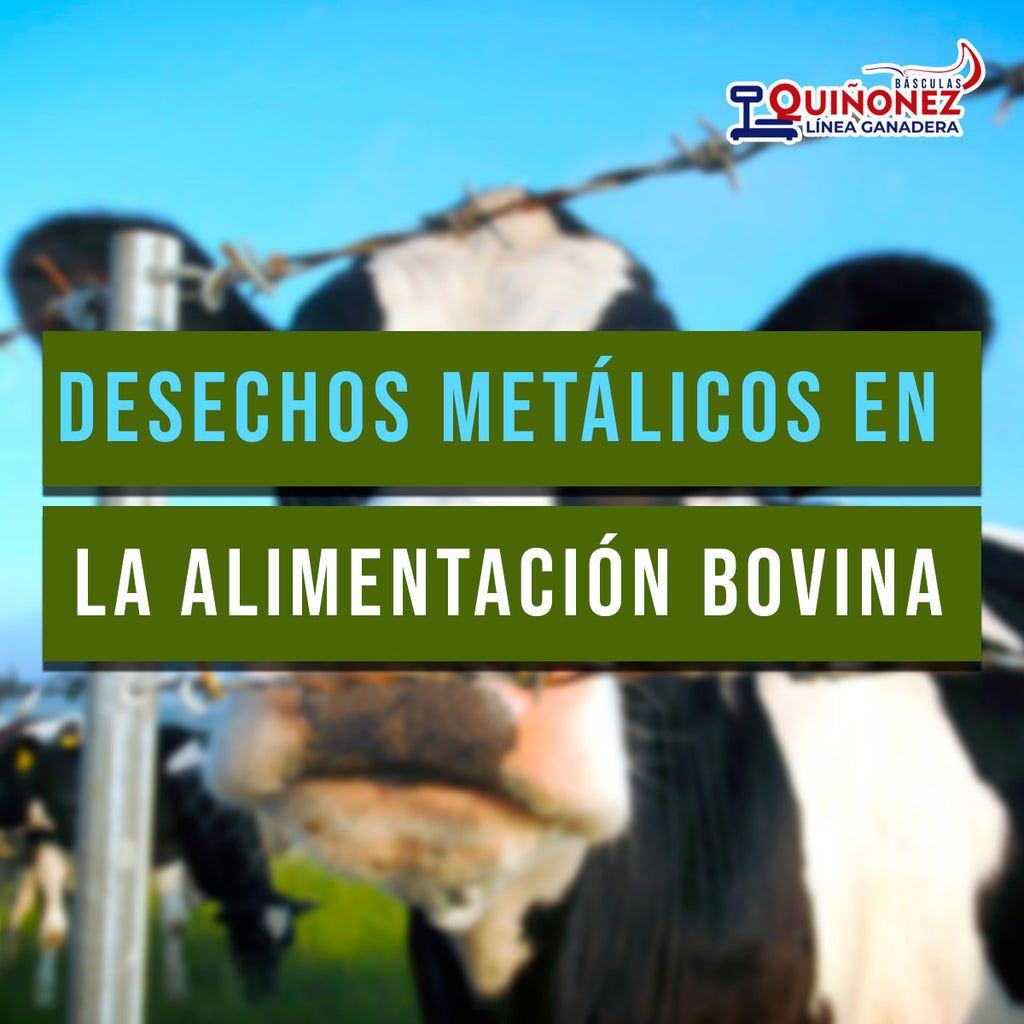 Desechos metálicos en la alimentación Bovina