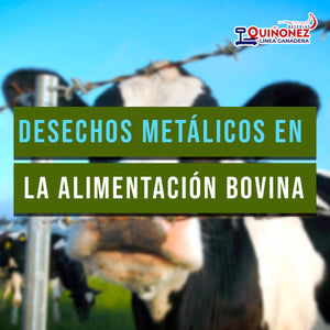 Desechos metálicos en la alimentación Bovina
