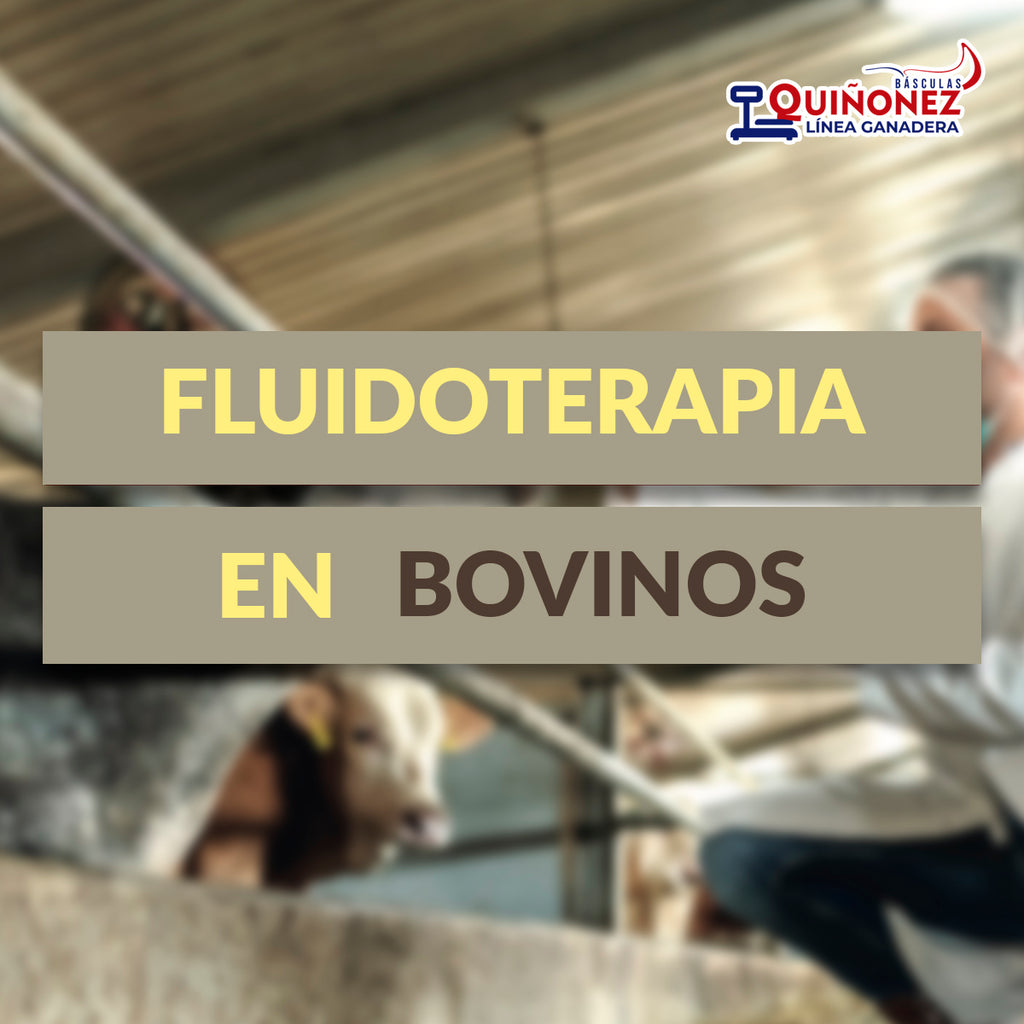 Fluidoterapia en Bovinos