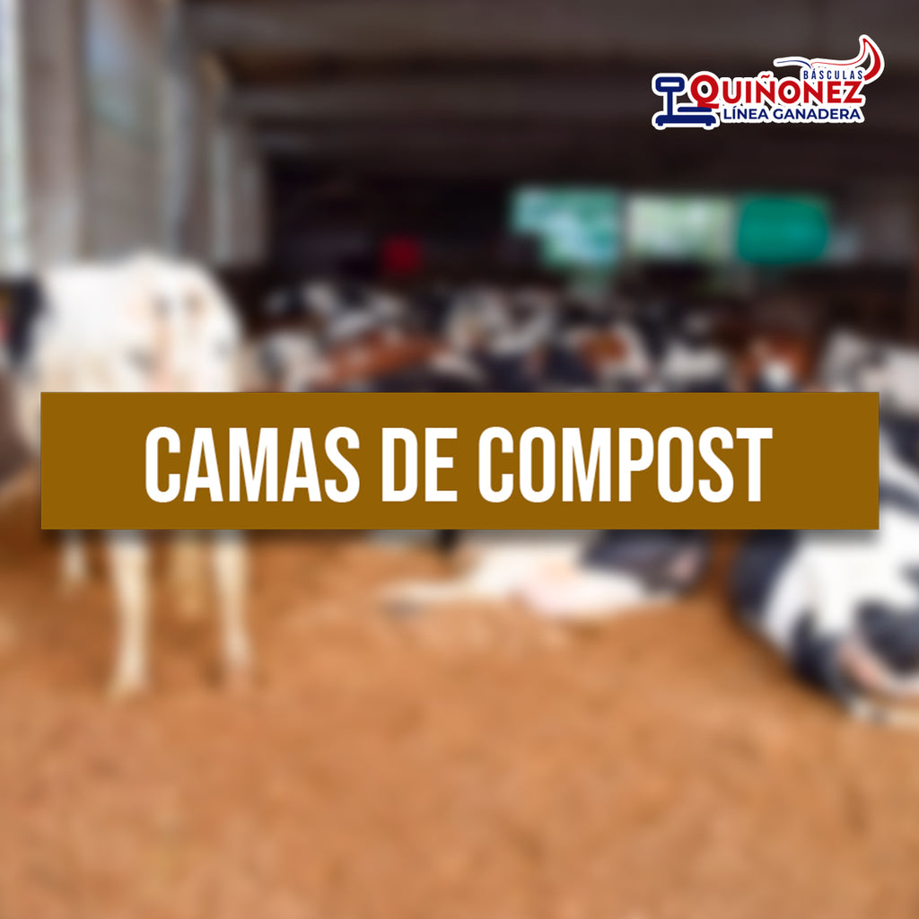Camas de Compost