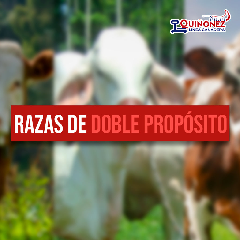 ¿Qué son las razas de doble propósito?