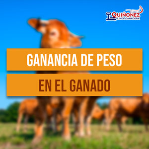 Ganancia de peso en el ganado