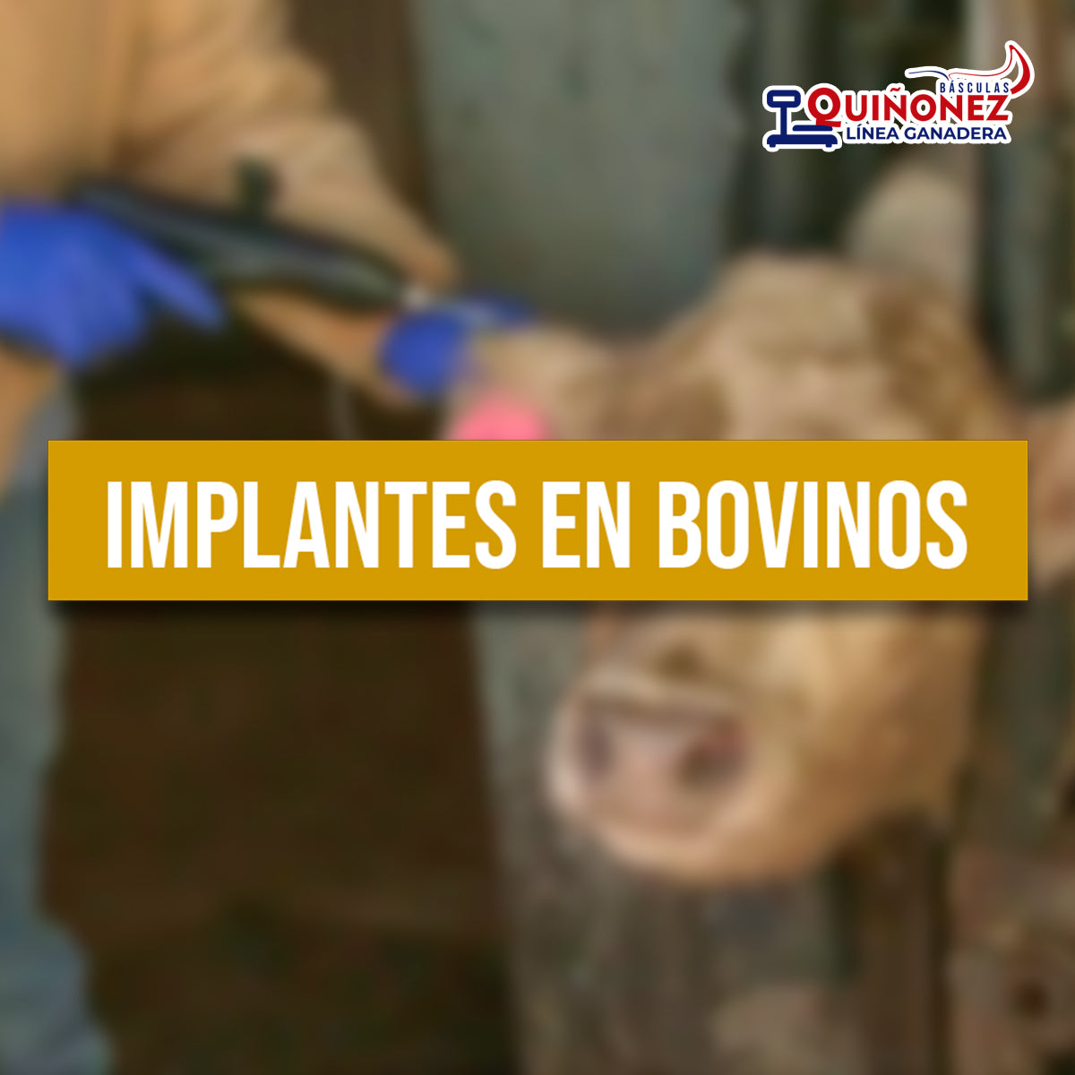 Implantes en bovinos