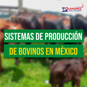 Sistemas de producción de Bovinos en México