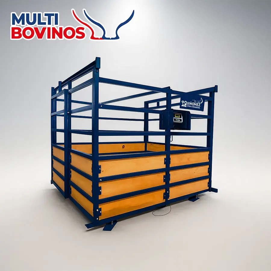 Báscula ganadera multibovinos Quiñonez para pesaje grupal de lotes, con capacidad de 5000 kg, jaula de acero reforzada y piso de madera tratada para alta resistencia.