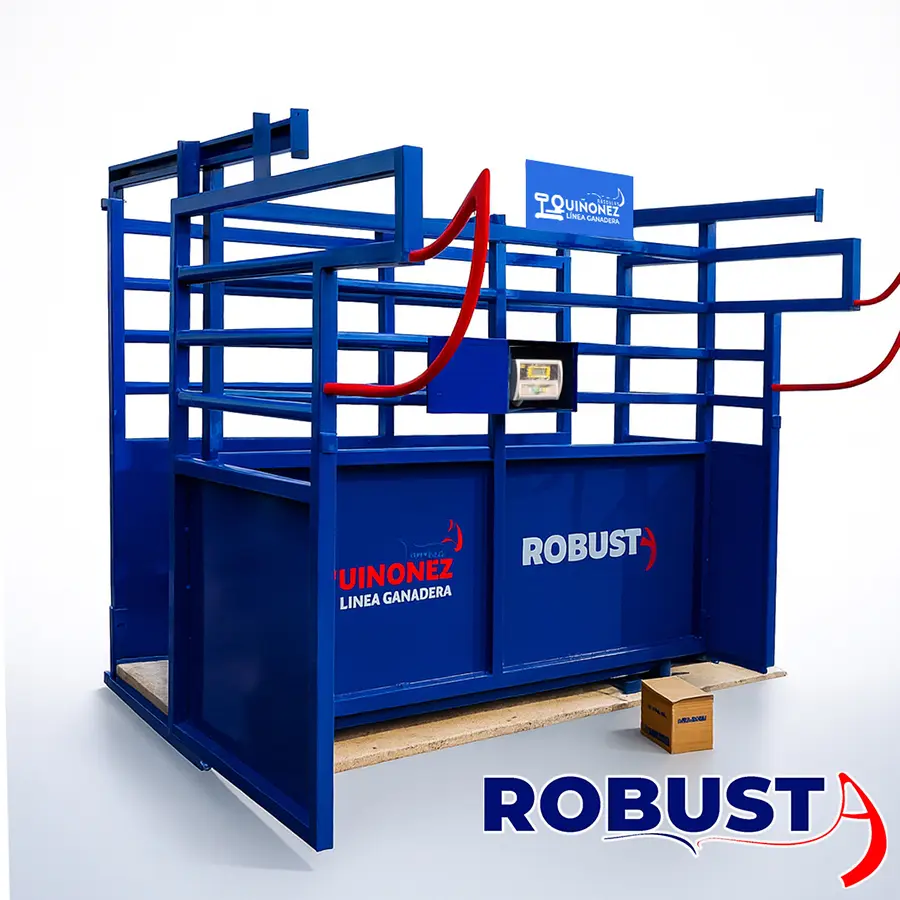 Báscula ganadera modelo Robusta de 2000 kg de Básculas Quiñonez, construida en acero estructural de uso rudo con jaula azul reforzada, piso de madera tratada y sistema de pesaje digital de alta precisión