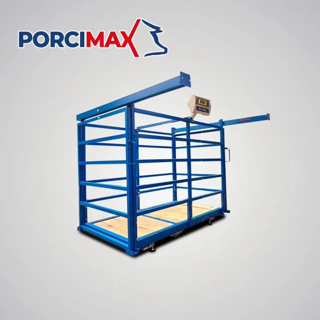 Báscula para cerdos y porcinos modelo Porcimax de Básculas Quiñonez, con jaula de acero reforzada, piso de madera y sistema digital de alta precisión para control de engorda