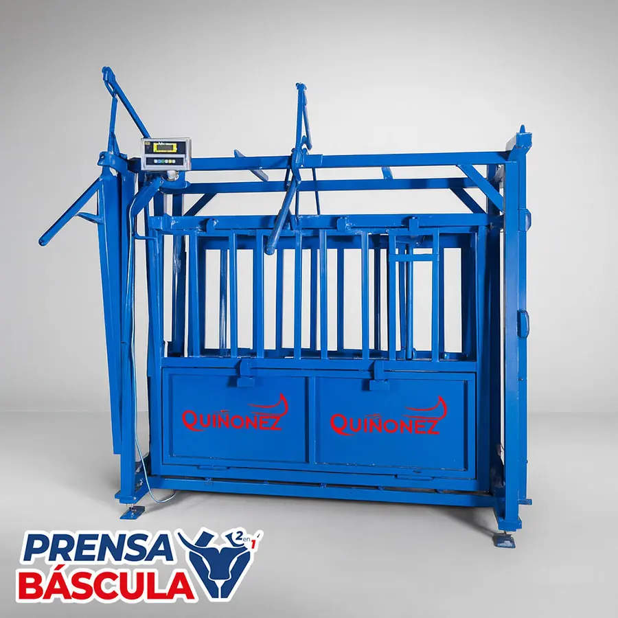 Prensa báscula ganadera de 2 toneladas Quiñonez, tipo brete de manejo para ganado bovino, con estructura de acero PTR reforzada y sistema de pesaje digital de alta precisión