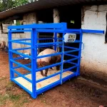 Báscula Ganadera Porcimax - Image 4